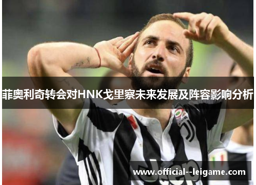 菲奥利奇转会对HNK戈里察未来发展及阵容影响分析